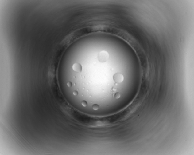 X0000099940737200805231251