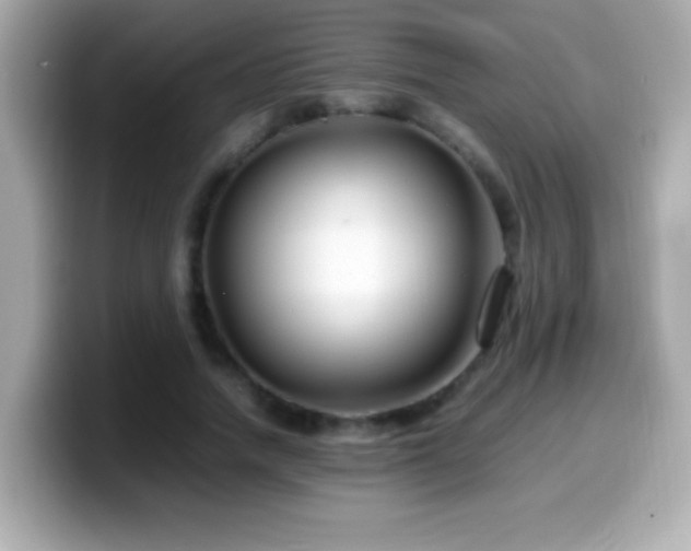 X0000099940738200805231251