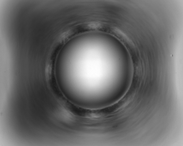 X0000099940739200805231251