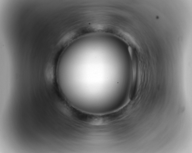 X0000099940740200805231251
