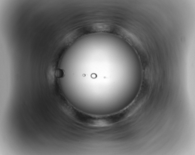 X0000099940741200805231251