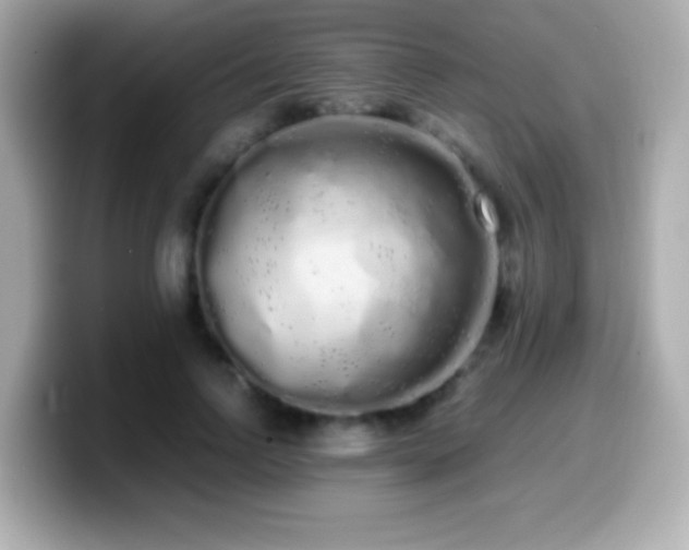 X0000099940742200805231251