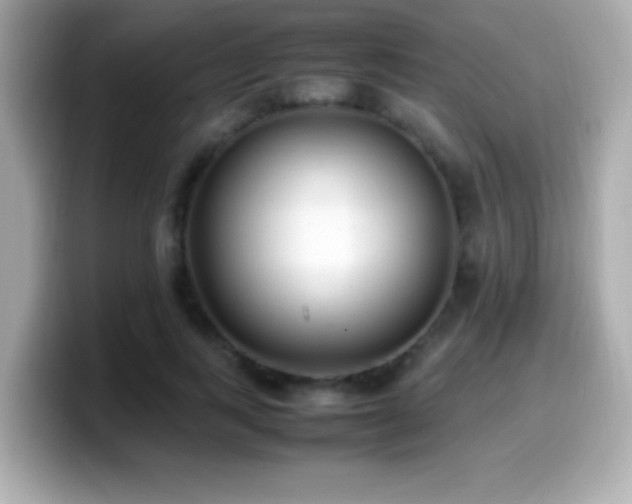 X0000099940743200805231251