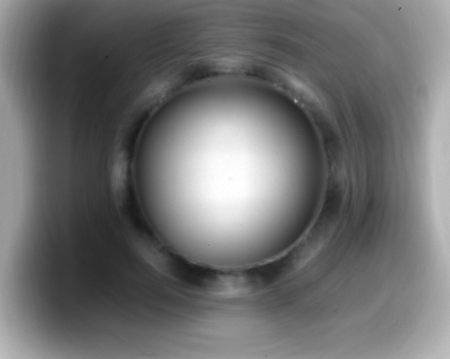 X0000099940744200805231251