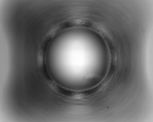 X0000099940746200805231251