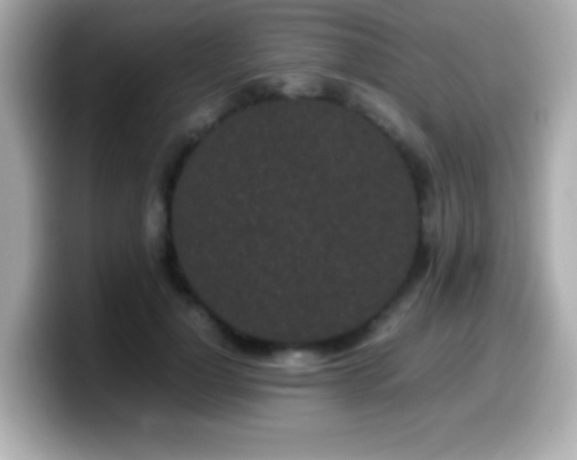 X0000099940748200805231251