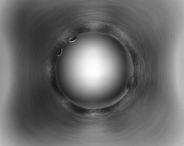X0000099940750200805231251