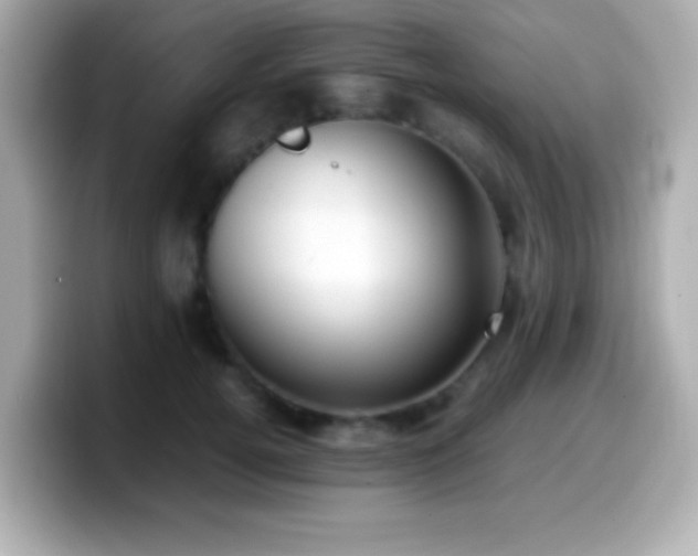 X0000099940752200805231251