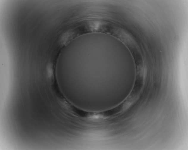 X0000099940754200805231251