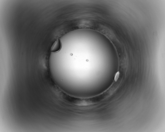 X0000099940755200805231251