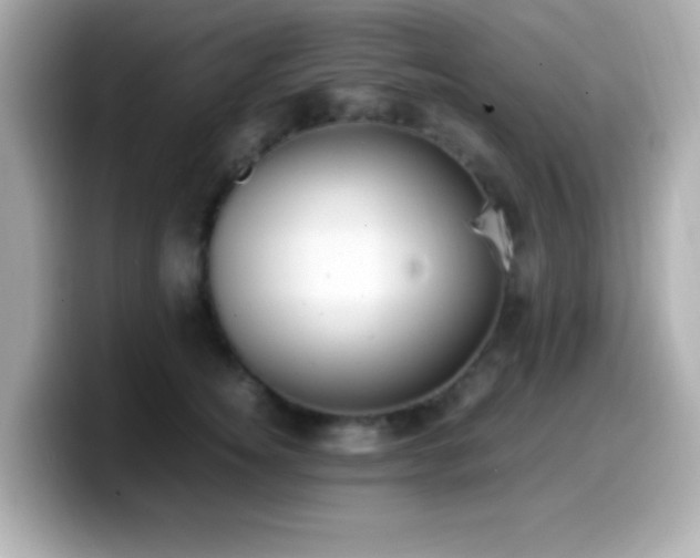 X0000099940756200805231251
