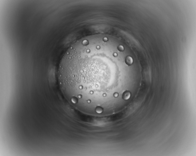 X0000099940757200805231251