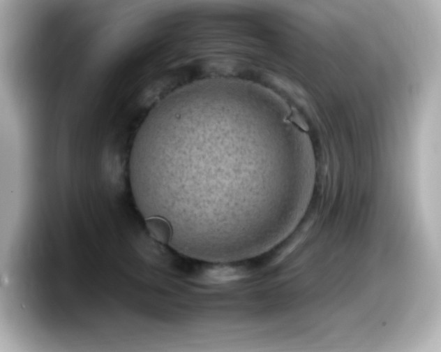 X0000099940759200805231251