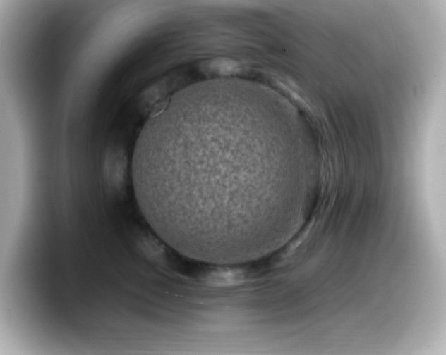 X0000099940760200805231251