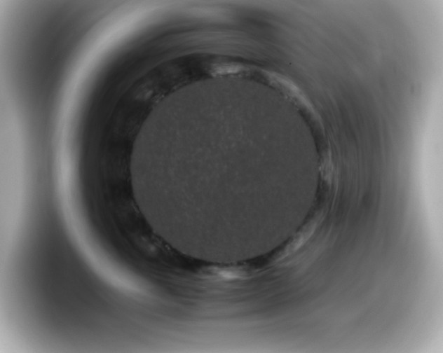 X0000099940763200805231251