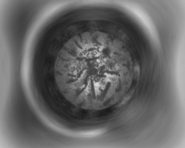 X0000099940765200805231251