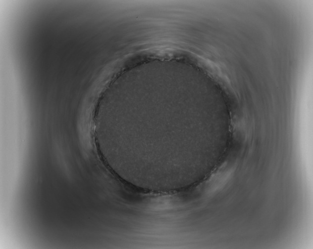 X0000099940769200805231251