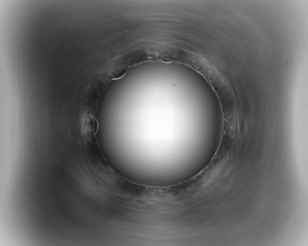 X0000099940770200805231251