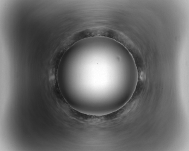 X0000099940771200805231251
