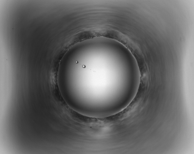 X0000099940772200805231251