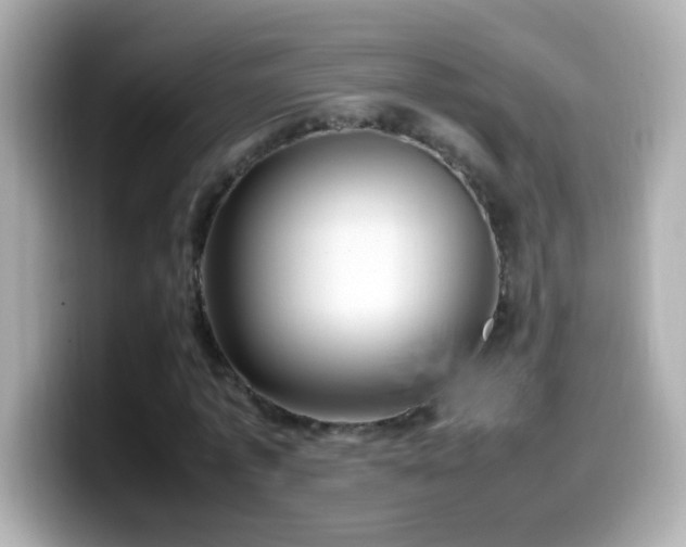 X0000099940773200805231251