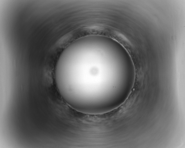 X0000099940774200805231251