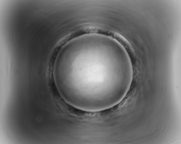 X0000099940775200805231251