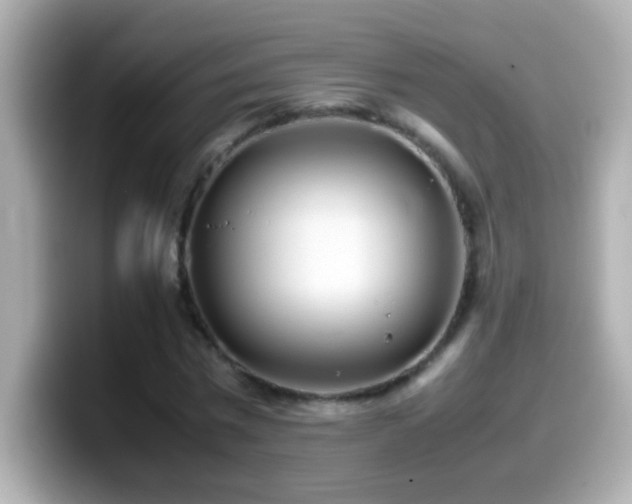 X0000099940777200805231251
