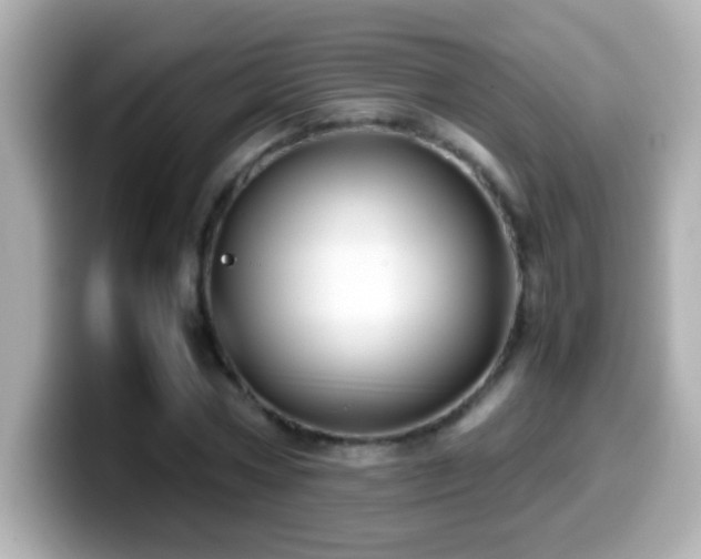 X0000099940778200805231250