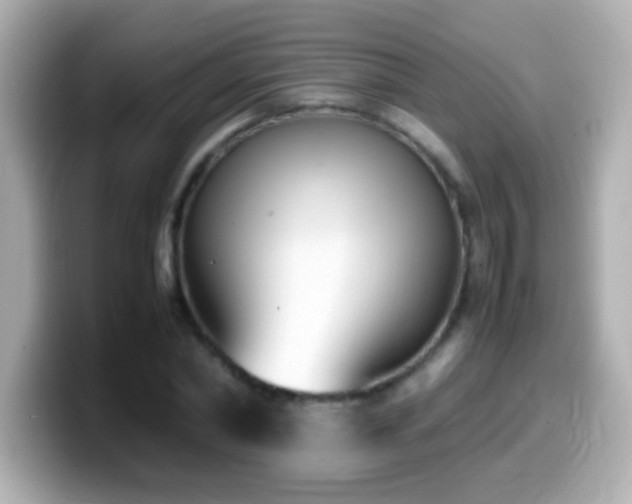 X0000099940782200805231250