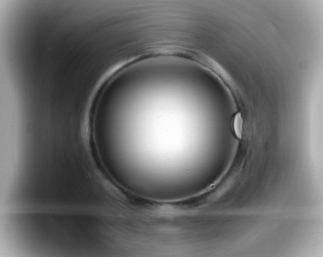 X0000099940787200805231250