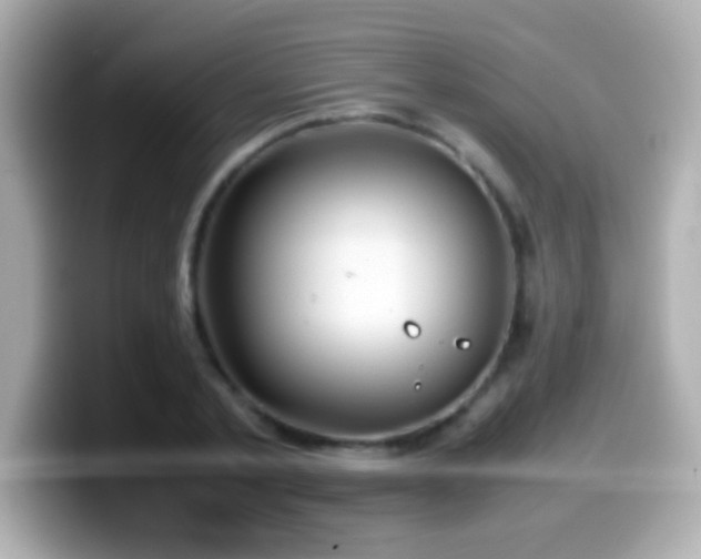 X0000099940789200805231250