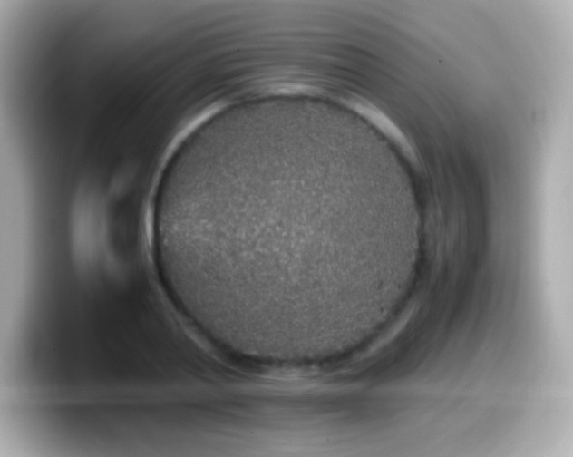X0000099940790200805231250
