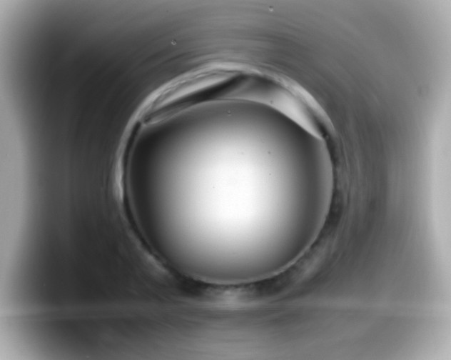 X0000099940791200805231250