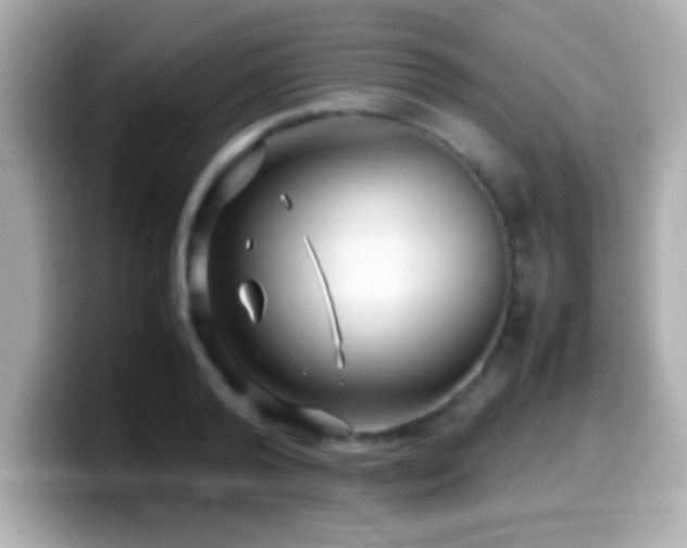 X0000099940792200805231250
