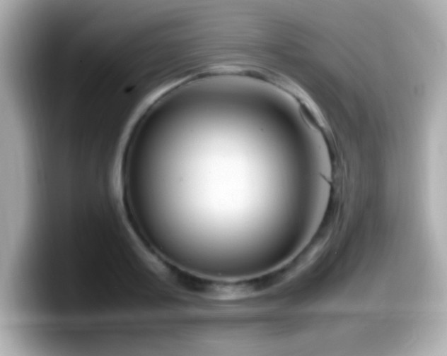 X0000099940795200805231250