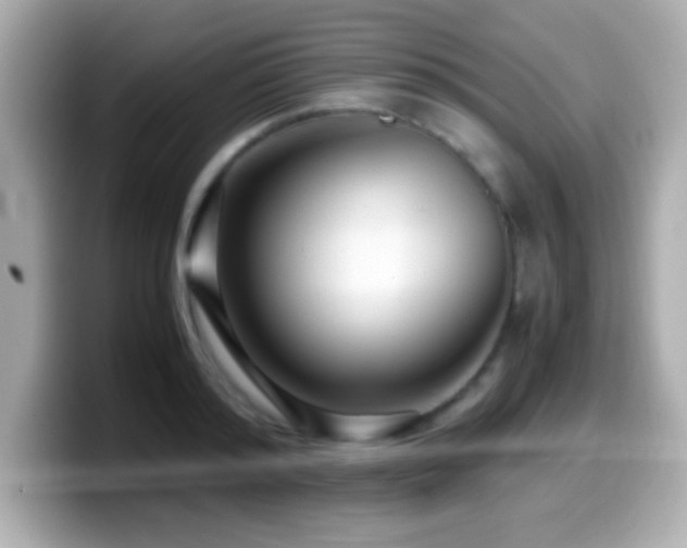 X0000099940796200805231250