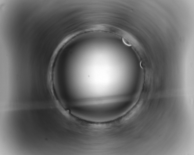 X0000099940800200805231250