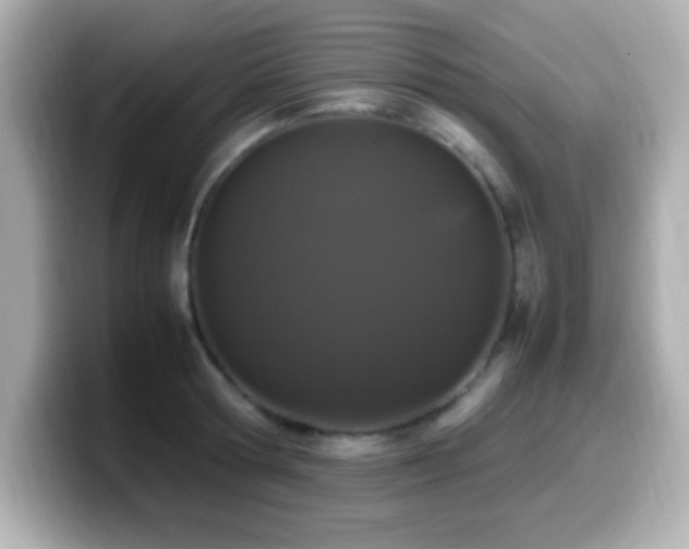 X0000099940802200805231250