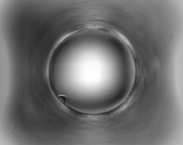 X0000099940803200805231250