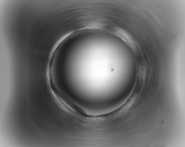 X0000099940804200805231250