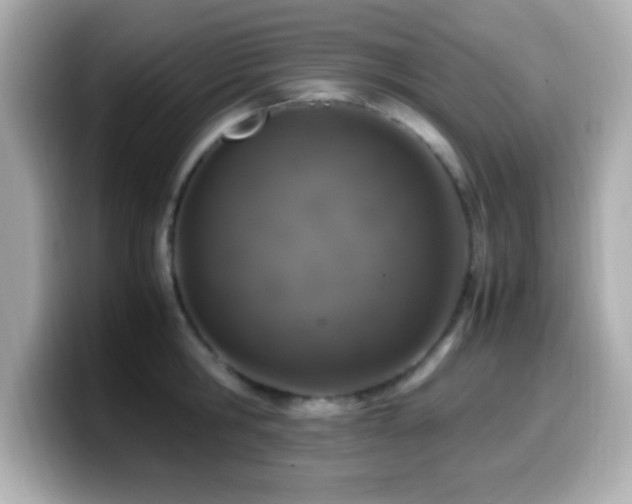 X0000099940806200805231250