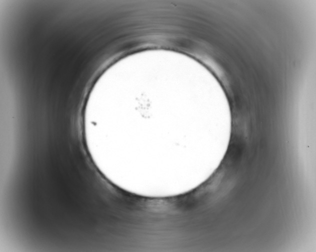 X0000099940807200805231250