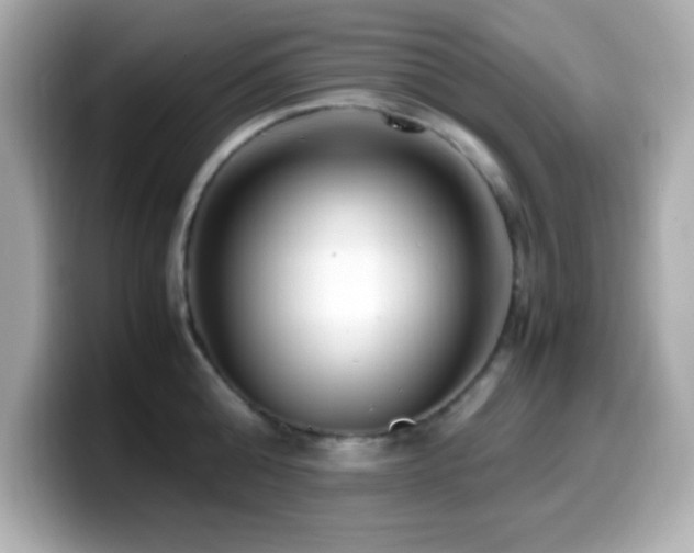 X0000099940808200805231250