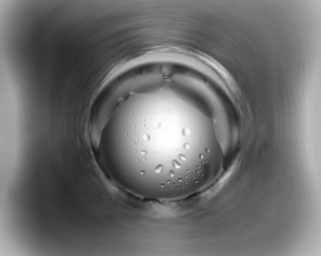 X0000099940809200805231250