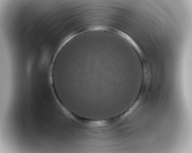 X0000099940810200805231250