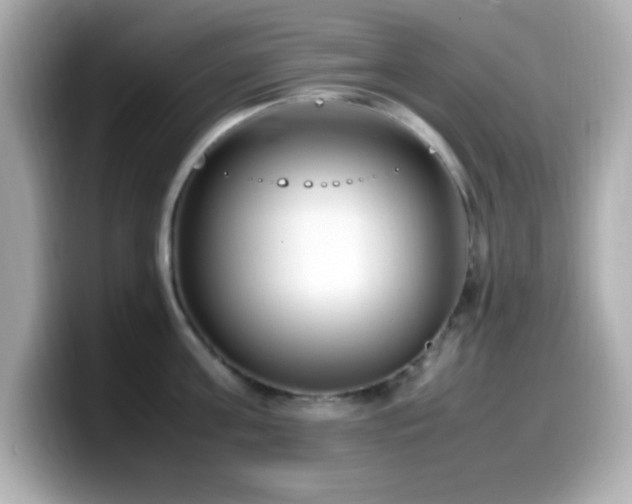 X0000099940811200805231250