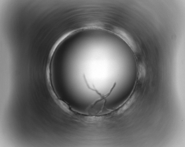 X0000099940812200805231250