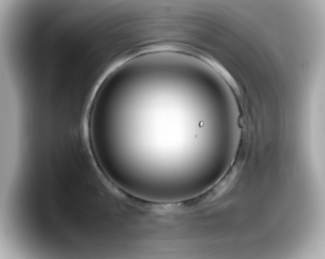 X0000099940813200805231250