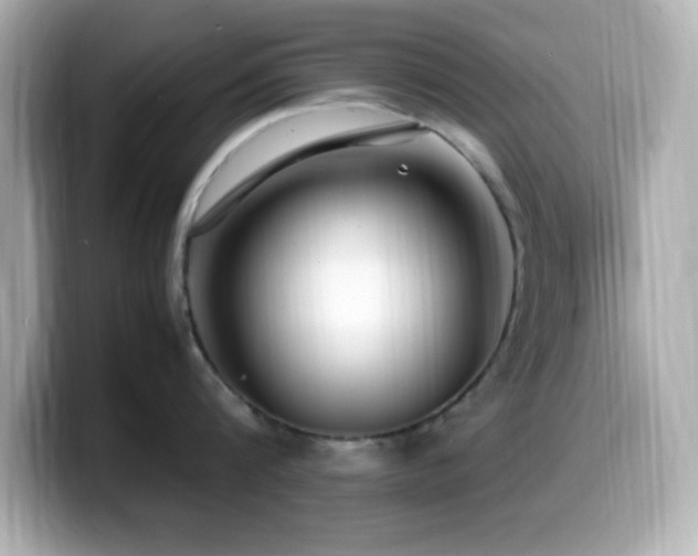 X0000099940816200805231250